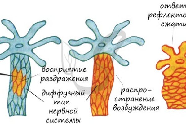 Кракен сайт даркнет